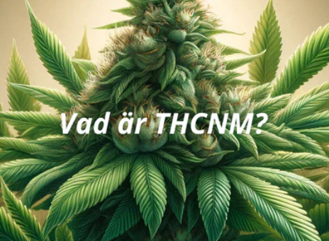 thcnm thcnm lagligt hhc vape hhco thch vape hampa cbd olja